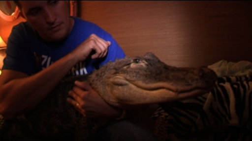 60 Seconds of Alligator Facts With Darth Gator
