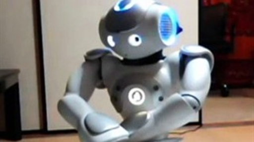 Homemade Robots Video