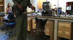 Vanguard: Drug Sniffing Dog