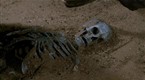 Bones: Superstrong Dwarf