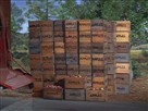 The Price of Apples