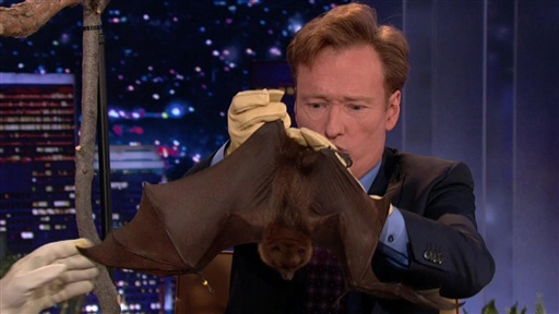 Bat Expert Rob Mies, Part 1