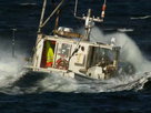Wicked Tuna | Following the Leader