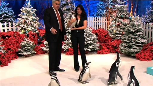 Wed, Dec 23, 2009