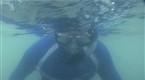 Howcast: How to Snorkel