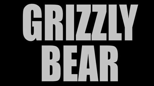 Three Questions With Grizzly Bear