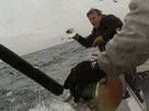 Wicked Tuna | Sustainability Bluefin Quotas