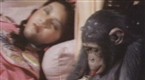 Click to watch Kung Fu Arts. On Hulu channel