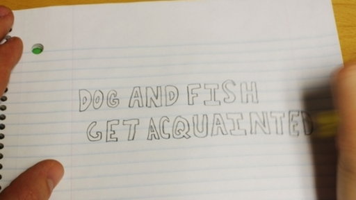 Dog and Fish Get Aquainted: It's a Trap! Video
