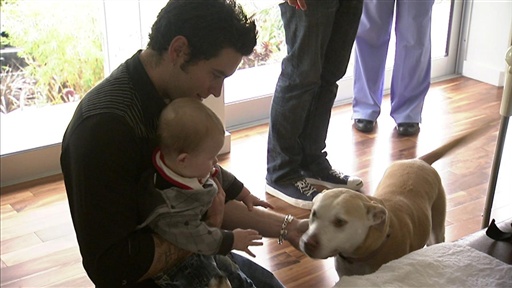 Casey's New Puppy
