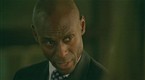 Fringe: Just the Facts