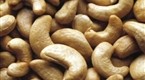 Modern Marvels: Nuts (season 1, episode 14)