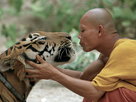 ORF Universum Documentaries | Season 1 Episode 92 | Tiger and Monk