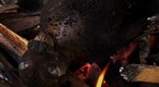 National Geographic Travel: Eating Bats