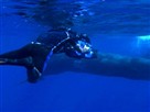 Great Migrations | Searching for Sperm Whales