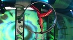 Celebrity Circus: Antonio's Wheel of Death