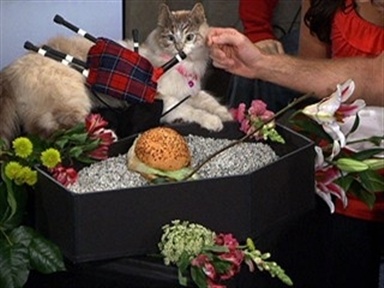 Death of a Meme: The LOLcat Funeral