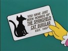 Cat Burglar