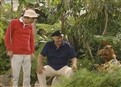 Somewhere Over the Rerun: The Ballad of Gilligan's Island picture