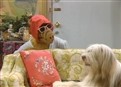You Ain't Nothin' but a Hound Dog picture