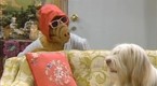You Ain't Nothin' but a Hound Dog