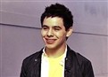 Idol Secrets 1 picture