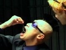 The Stupids of Japan