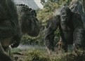 Fighting T-Rex picture