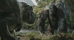 Fighting T-Rex