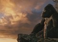 Sunset picture