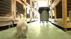 Mr. Justice &amp; Powerful Girl: Rabbits (season 2, episode 4)
