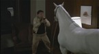Animal House: Shoot the Horse