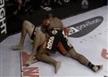 Overeem vs. Buentello and Linares vs. Figueroa picture