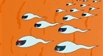 Family Guy: Escaping the Womb
