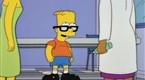 The Simpsons: Health Makeover Organization