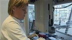 Genetic research heats up in Iceland