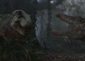 Dinosaur Fight picture