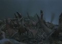 Baby Dinosaur Food picture