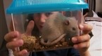 The Baby Borrowers: Wed, Jul 16, 2008 (season 1, episode 4)