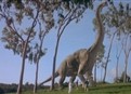 play video on Hulu
