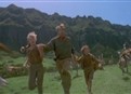 Flock of Dinos picture