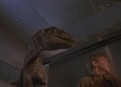Kitchen Velociraptor Nightmares picture