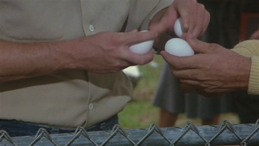 Eggs