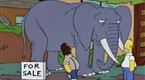 The Simpsons: Elephant for Sale