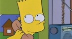 The Simpsons: Bart Wins an Elephant