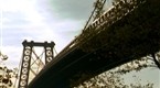 Bridges of NYC