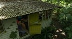Wild: Tropic Gothic (season 1, episode 9)