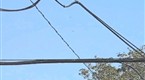 Airplane Abducted by UFO