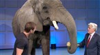 The Jay Leno Show: Thu, Oct 29, 2009 (season 1, episode 34)