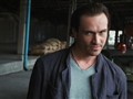 Video Sample